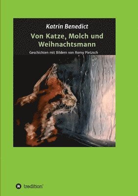 bokomslag Von Katze, Molch und Weihnachtsmann: Geschichten mit Bildern von Romy Pietzsch