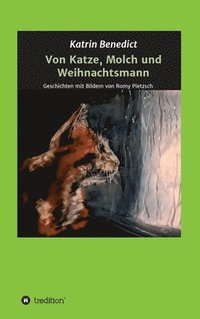 bokomslag Von Katze, Molch und Weihnachtsmann: Geschichten mit Bildern von Romy Pietzsch