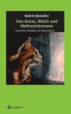 Von Katze, Molch und Weihnachtsmann: Geschichten mit Bildern von Romy Pietzsch