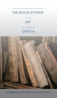 bokomslag Die blaue Stunde mit Seneca