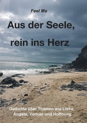 bokomslag Aus der Seele, rein ins Herz