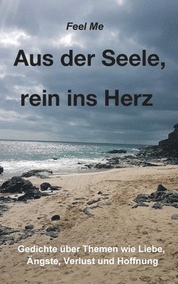 bokomslag Aus der Seele, rein ins Herz