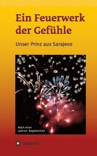 bokomslag Ein Feuerwerk der Gefühle - Unser Prinz aus Sarajevo
