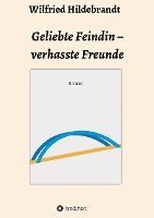 bokomslag Geliebte Feindin - verhasste Freunde