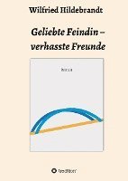 bokomslag Geliebte Feindin - verhasste Freunde