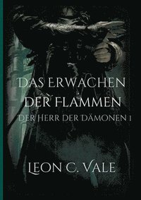 bokomslag Das Erwachen der Flammen