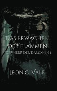 bokomslag Das Erwachen der Flammen