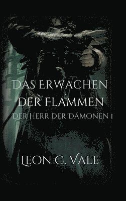 bokomslag Das Erwachen der Flammen