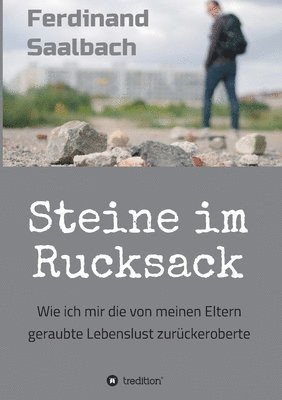 bokomslag Steine im Rucksack