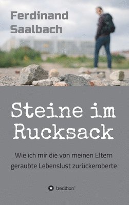 bokomslag Steine im Rucksack