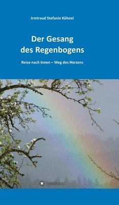bokomslag Der Gesang des Regenbogens -¿Reise nach Innen