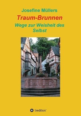 bokomslag Traum-Brunnen - Wege zur Weisheit des Selbst