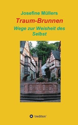 bokomslag Traum-Brunnen - Wege zur Weisheit des Selbst