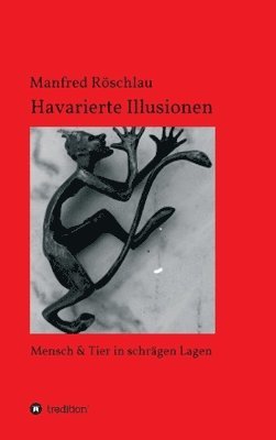 bokomslag Havarierte Illusionen