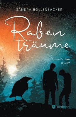 bokomslag Rabenträume - Traumtürchen Band 2