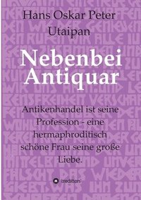 bokomslag Nebenbei Antiquar