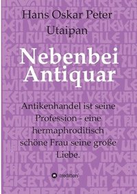 bokomslag Nebenbei Antiquar: Antikenhandel ist seine Profession - eine hermaphroditisch schöne Frau seine große Liebe.