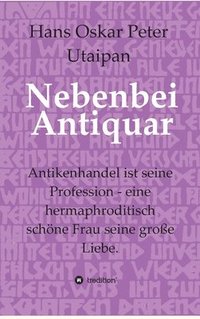 bokomslag Nebenbei Antiquar