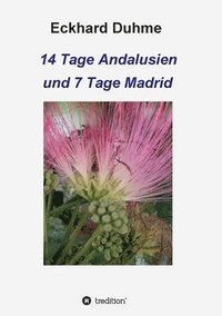 bokomslag 14 Tage Andalusien und 7 Tage Madrid