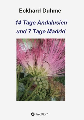 14 Tage Andalusien und 7 Tage Madrid 1