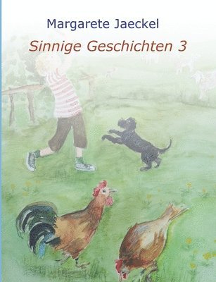 bokomslag Sinnige Geschichten 3