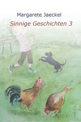 bokomslag Sinnige Geschichten 3