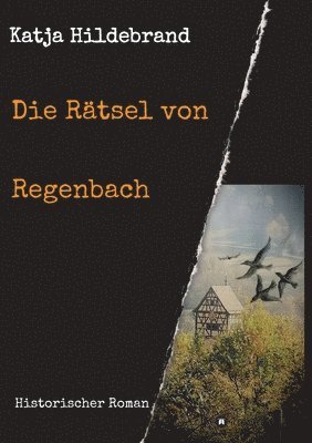 Katja Hildebrand - Die Rätsel von Regenbach: Historischer Roman, Häftad