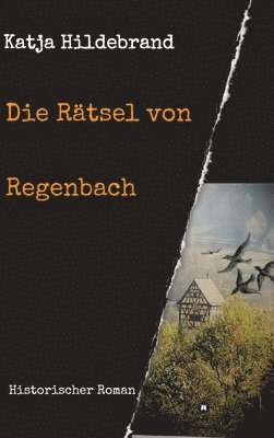 bokomslag Die Rätsel von Regenbach: Historischer Roman