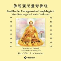 bokomslag Buddha der Unbegrenzten Langlebigkeit: Visualisierung des Landes Sukhavati