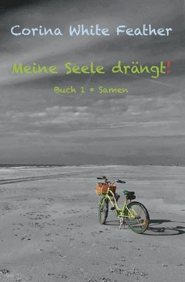 bokomslag Meine Seele drängt!