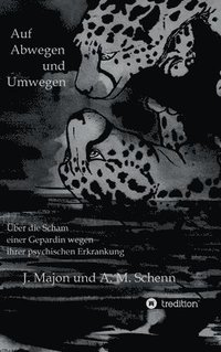 bokomslag Auf Abwegen und Umwegen