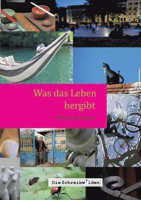 Alex Devesper, Ilse Reichinger, Claudia Hellstern, Ellen Göppl, Sabine Lauffer, Uta Neumann, Die Schreibwilden - Was das Leben hergibt: Wilde Geschichten, Häftad