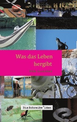 Alex Devesper, Ilse Reichinger, Claudia Hellstern, Ellen Göppl, Sabine Lauffer, Uta Neumann, Die Schreibwilden - Was das Leben hergibt: Wilde Geschichten, Inbunden
