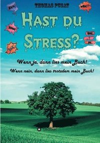 bokomslag Hast Du Stress?: Wenn ja, dann lies mein Buch! Wenn nein, dann lies trotzdem mein Buch!