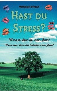 bokomslag Hast Du Stress?: Wenn ja, dann lies mein Buch! Wenn nein, dann lies trotzdem mein Buch!