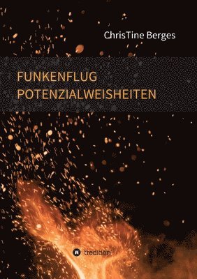 Funkenflug Potenzialweisheiten 1