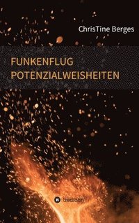 bokomslag Funkenflug Potenzialweisheiten