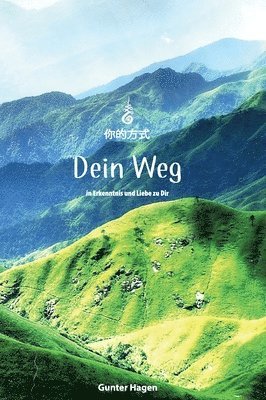 bokomslag Dein Weg