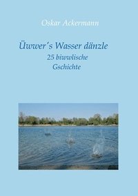 bokomslag Üwwer's Wasser dänzle: 25 biwwlische Gschichte in Kurpfälzer Mundart