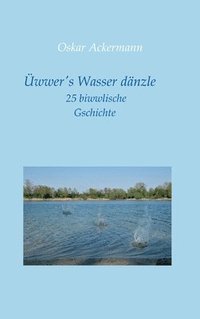 bokomslag Üwwer's Wasser dänzle: 25 biwwlische Gschichte in Kurpfälzer Mundart