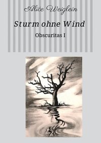 bokomslag Sturm ohne Wind