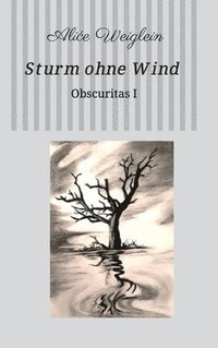 bokomslag Sturm ohne Wind