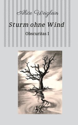 bokomslag Sturm ohne Wind