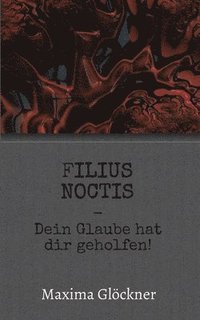 bokomslag Filius Noctis