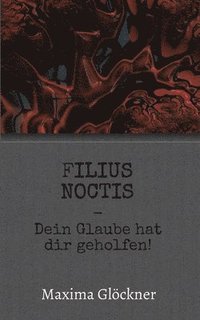 bokomslag Filius Noctis: Dein Glaube hat dir geholfen!