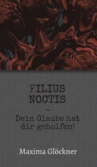 bokomslag Filius Noctis