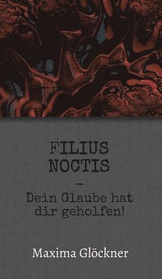 bokomslag Filius Noctis: Dein Glaube hat dir geholfen!