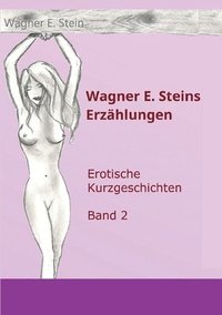 bokomslag Wagner E. Steins Erzählungen II