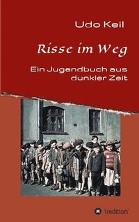 bokomslag Risse im Weg: Ein Jugendbuch aus Deutschlands dunkler Zeit