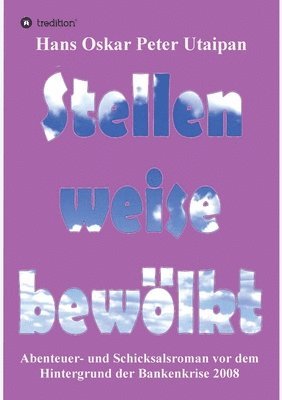 bokomslag Stellenweise bewölkt: Abenteuer- und Schicksalsroman vor dem Hintergrund der Bankenkrise 2008